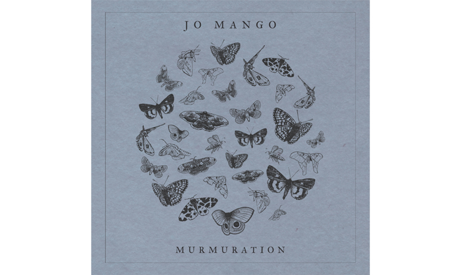 “Murmuration” by Jo Mango