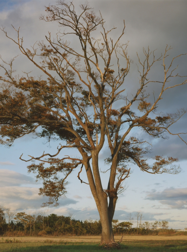 Naoya Hatakeyama