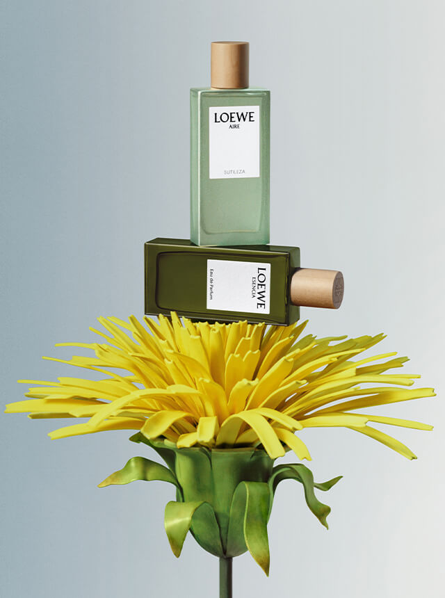 LOEWE Perfumes Holiday Campaign