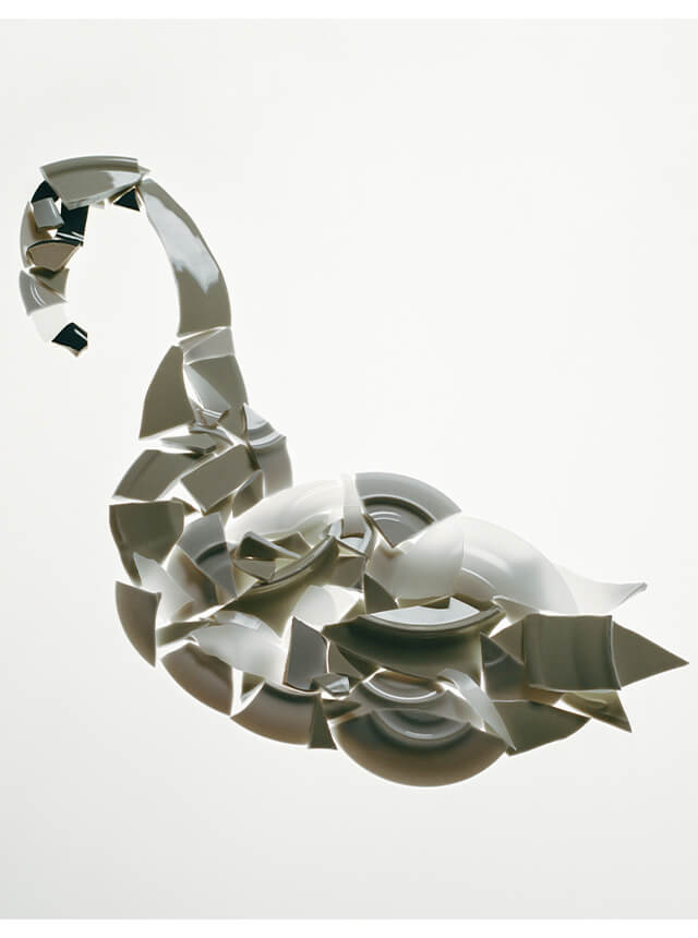 Encounter | Mariona Calathea & Sommet Studio