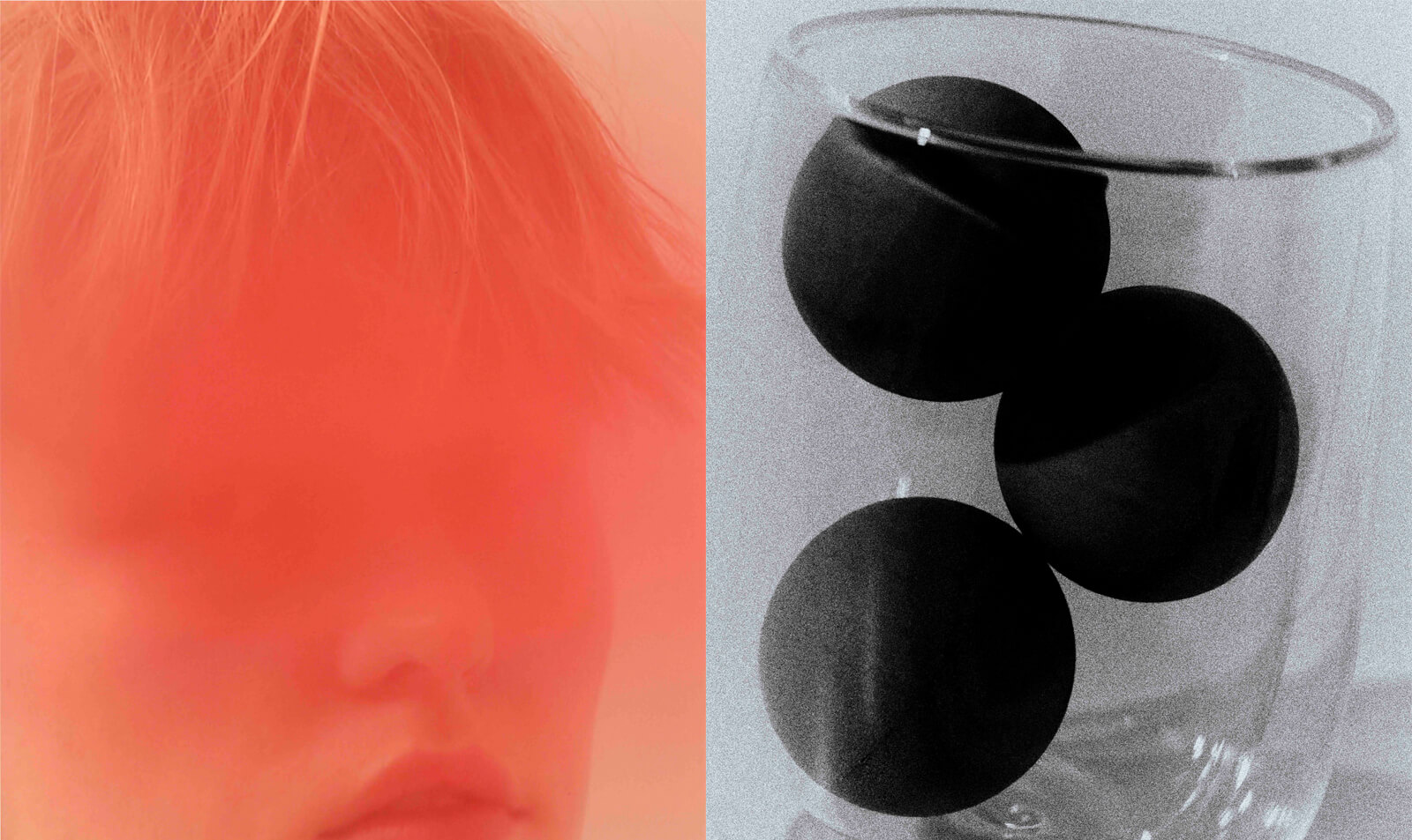 Lula BOOKS｜“Duality” Photo Exhibition in Kobe