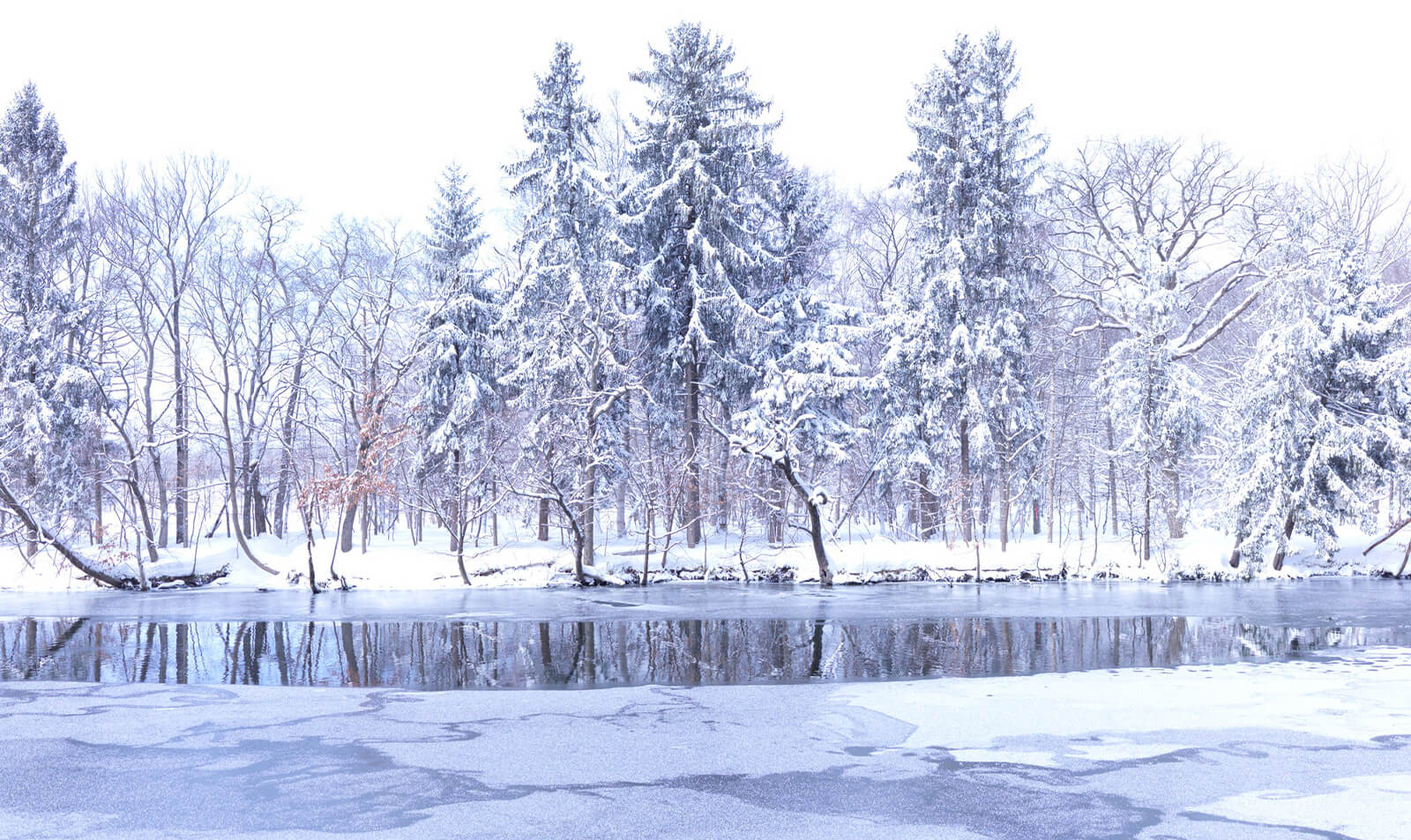Snow Town