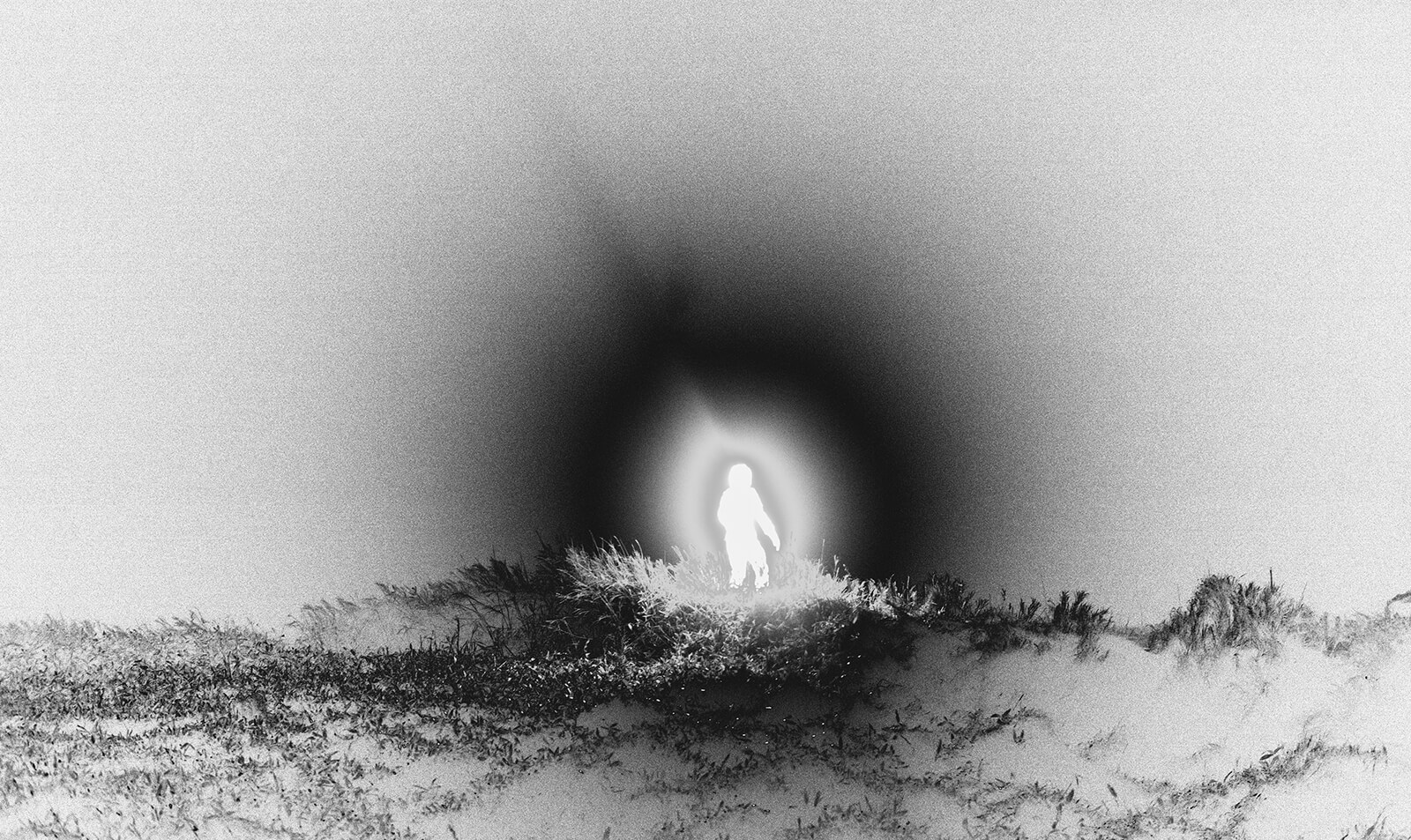 Taro Mizutani