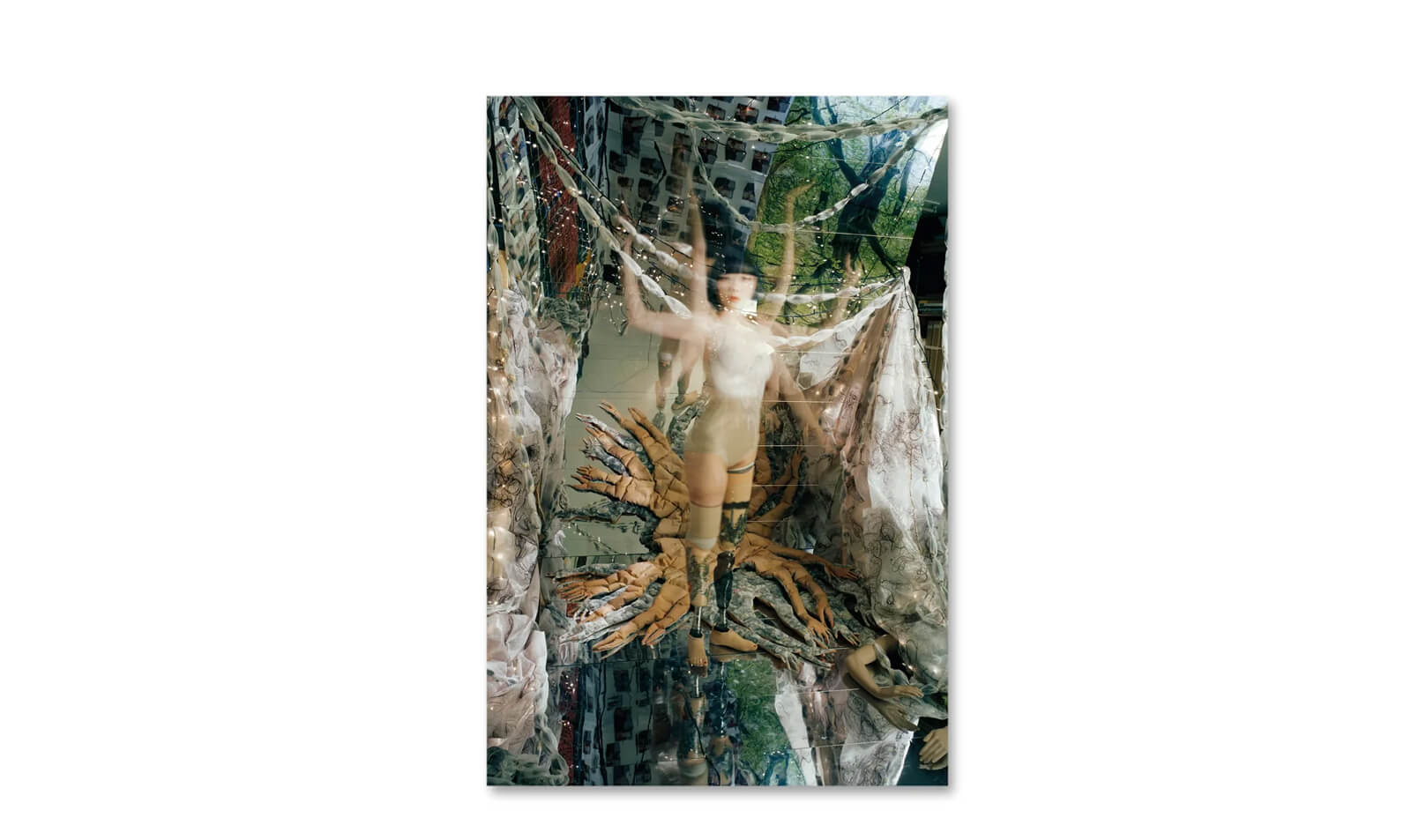 Mari Katayama