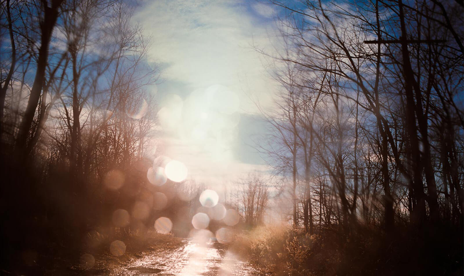 Todd Hido