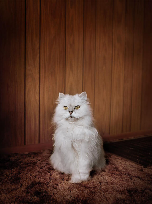Todd Hido