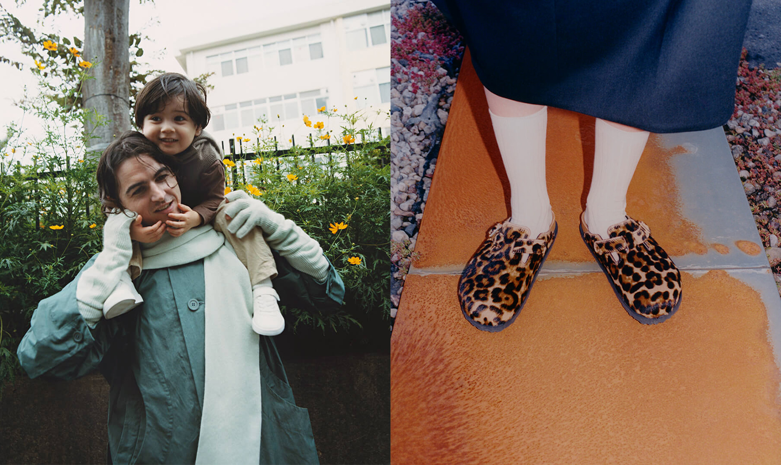 WEEKLY RECOMMEND 11/11