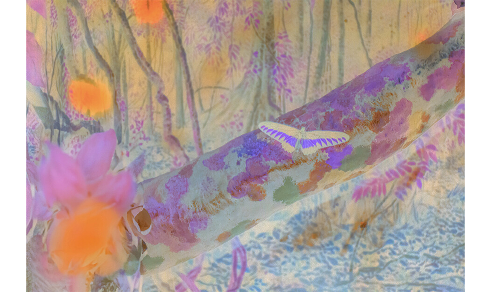 WEEKLY RECOMMEND 11/22