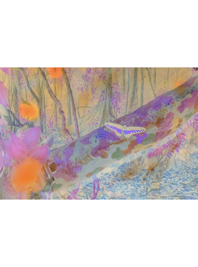 WEEKLY RECOMMEND 11/22