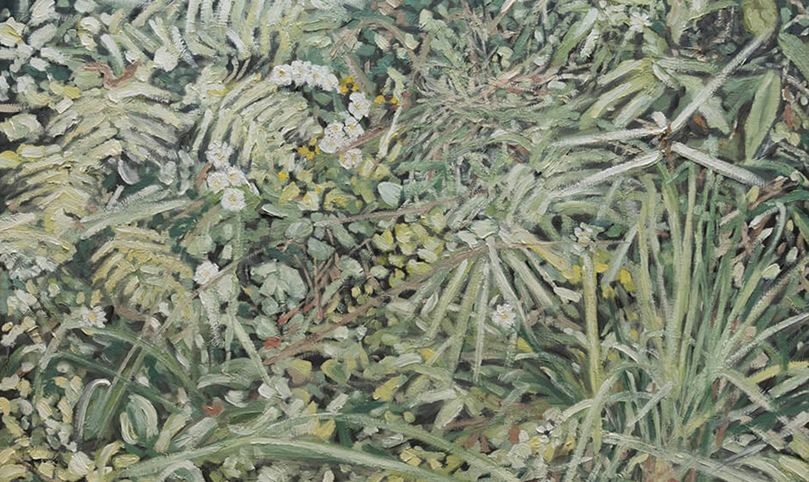 WEEKLY RECOMMEND 12/6