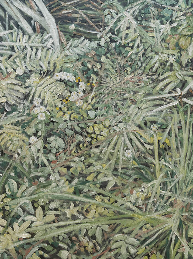 WEEKLY RECOMMEND 12/6