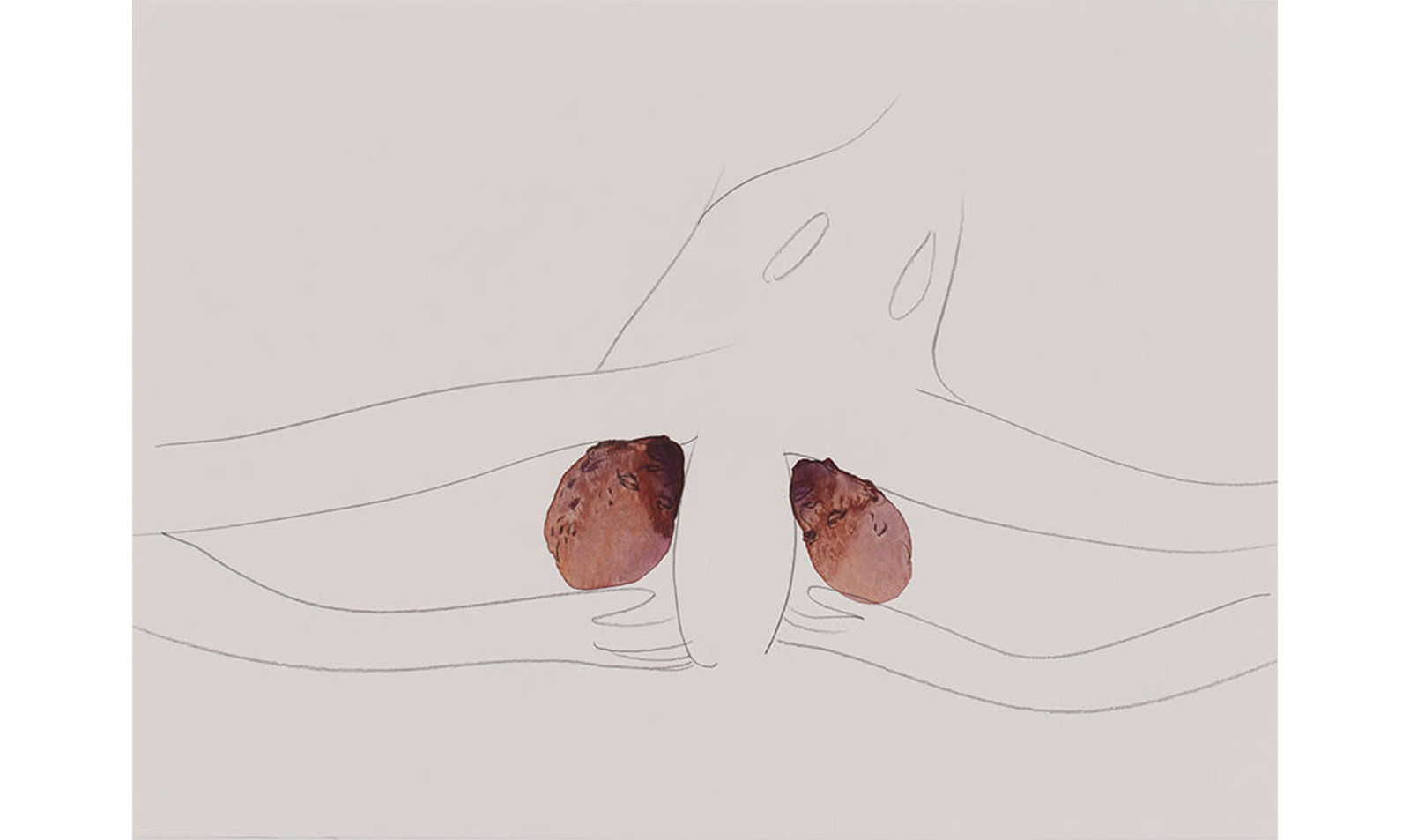 WEEKLY RECOMMEND 12/20