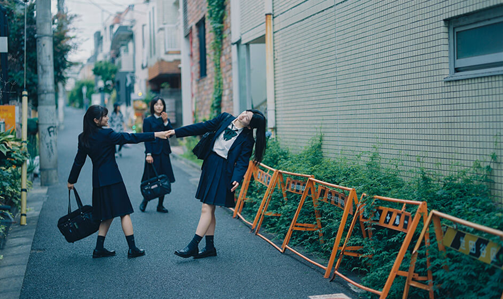 WEEKLY RECOMMEND 1/24