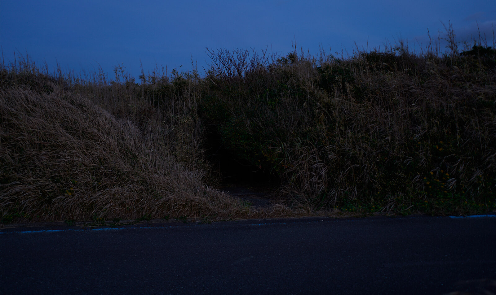 Encounter | Ryoma Sato