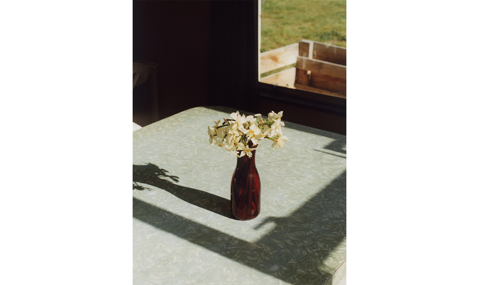 WEEKLY RECOMMEND 3/7