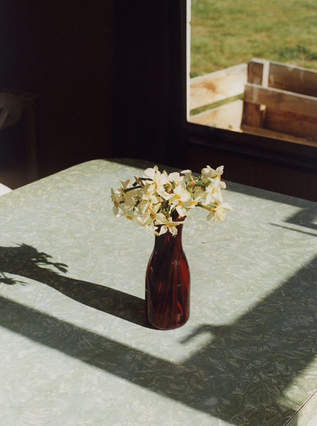 WEEKLY RECOMMEND 3/7